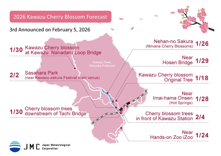 le-hoi-anh-dao-hanami-14 (1).jpg